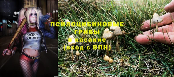 каннабис Надым