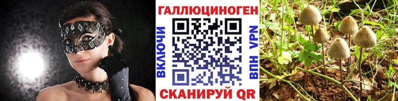 Псилоцибиновые грибы MAGIC MUSHROOMS  Козельск 